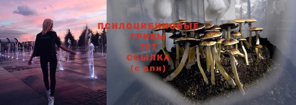 альфа пвп Арсеньев