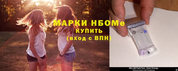 сатива Аркадак