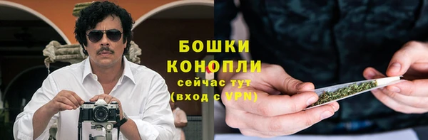сатива Аркадак