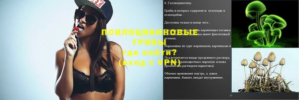 сатива Аркадак
