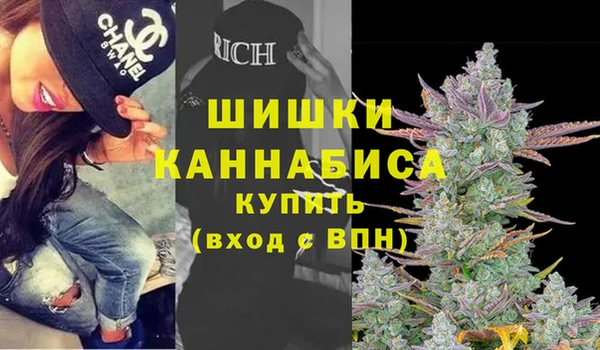сатива Аркадак