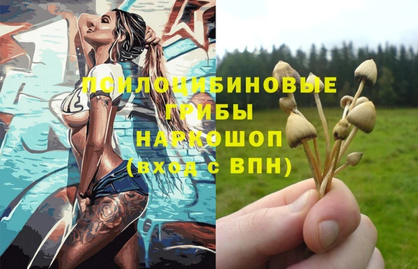 метадон Армянск